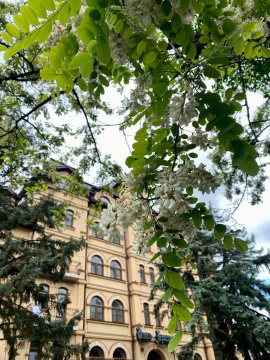 Территория